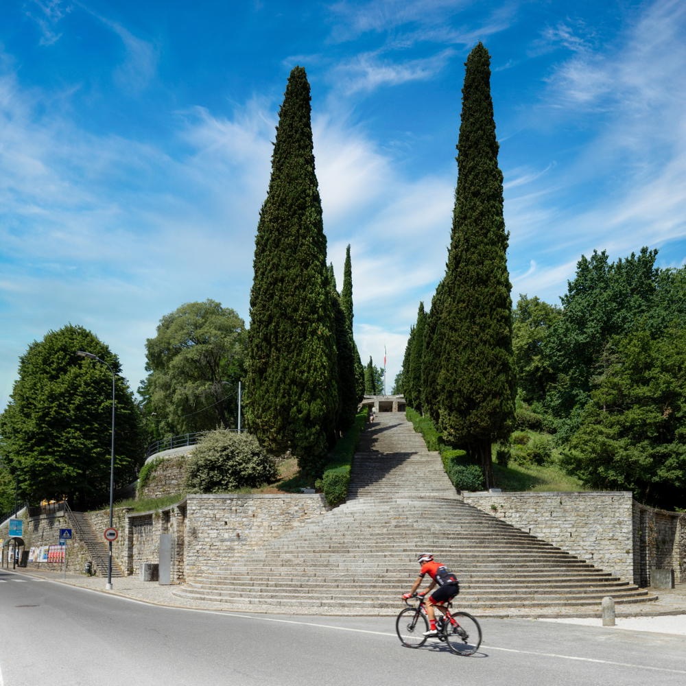Erba Terragni Saggio