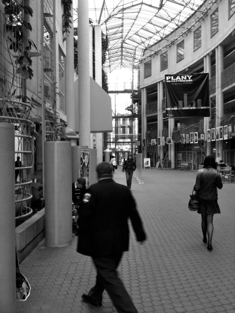 Marek Budzyñski, Zbigniew Badowski, 1999 - 16