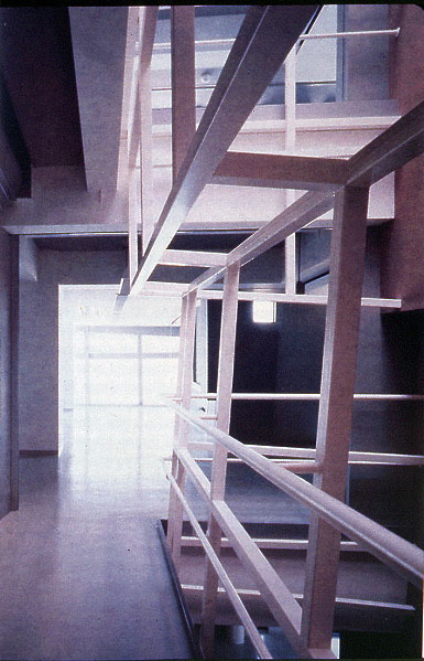 Antonino Saggio
        lecture material