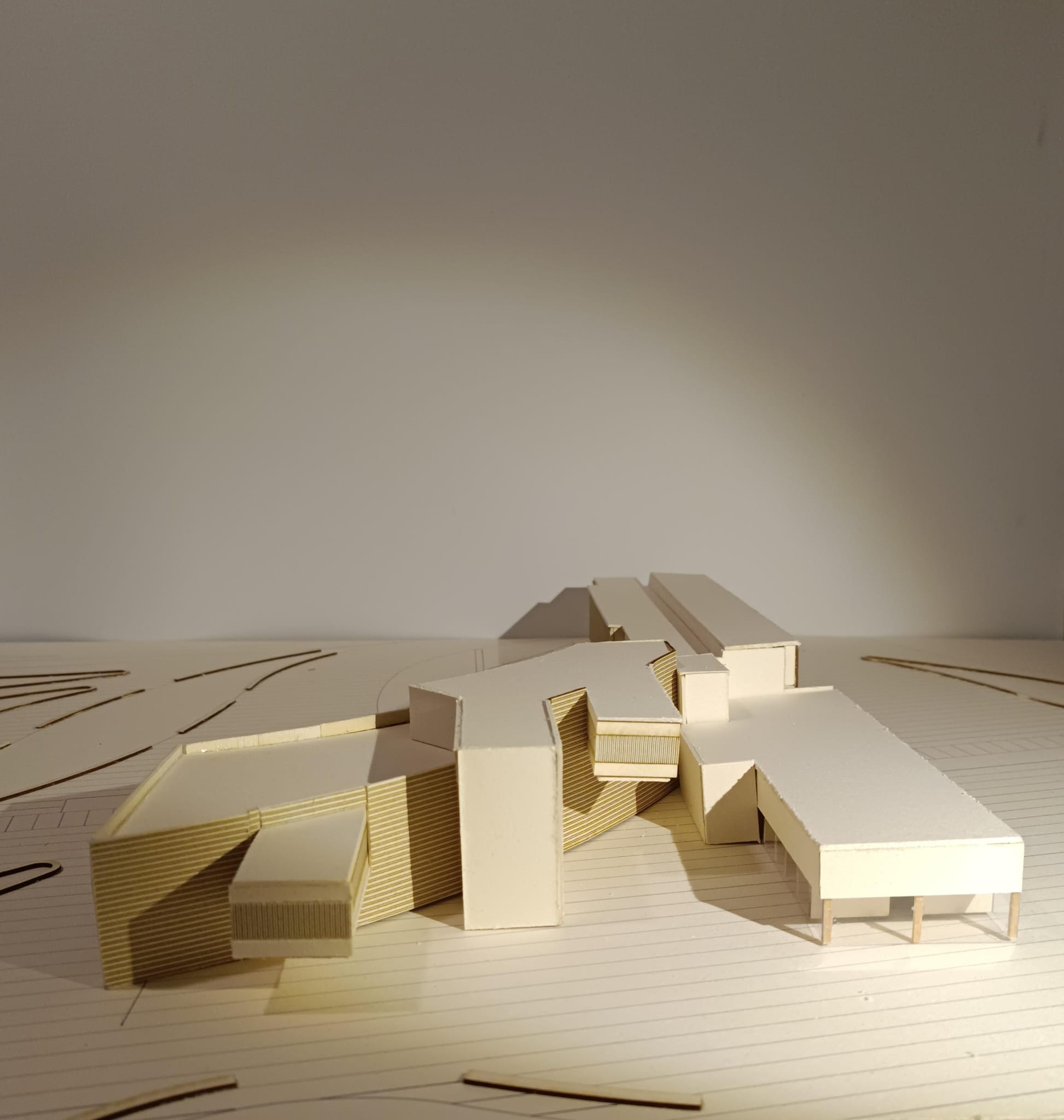 Tesi, Saggio
          advisor