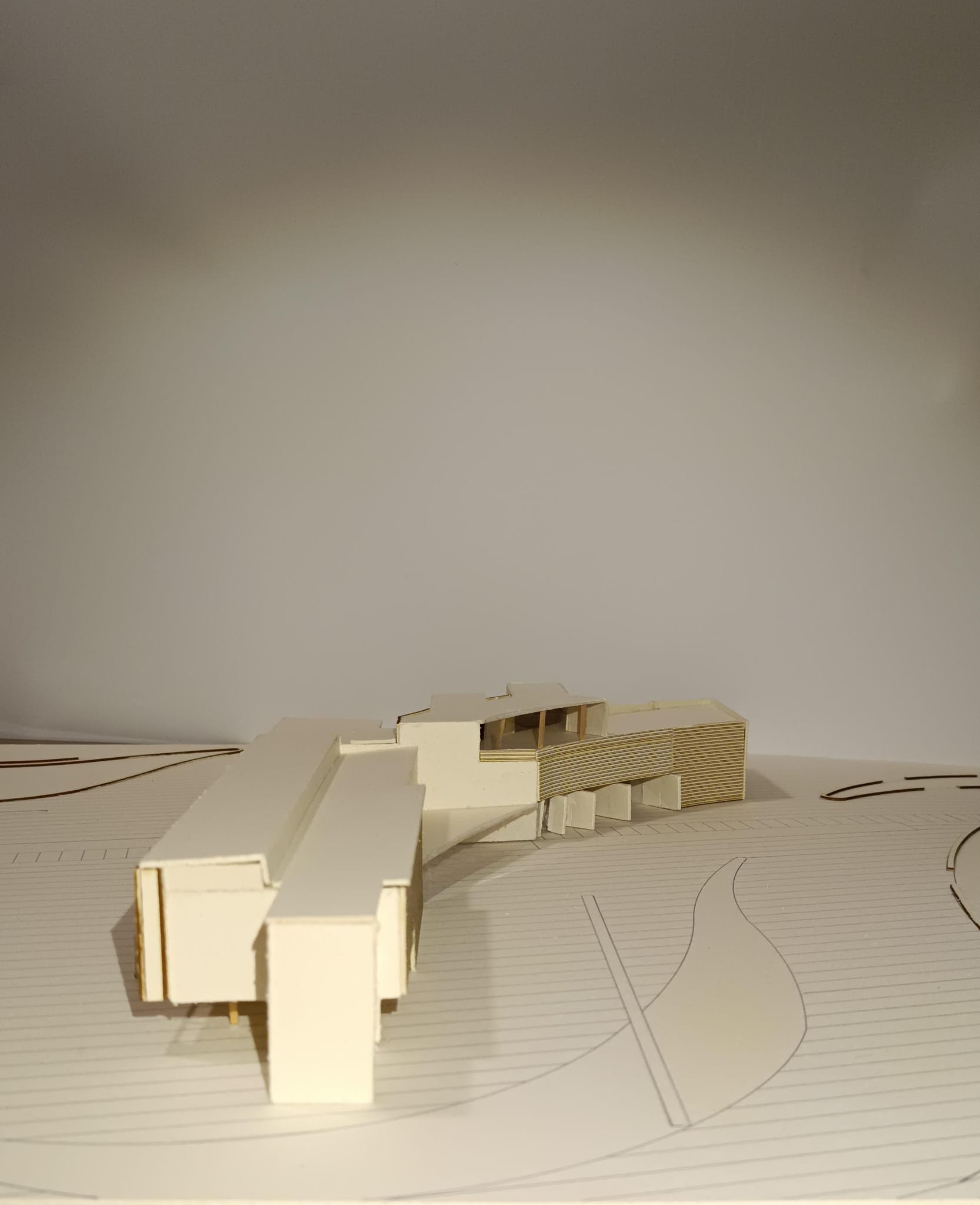 Tesi, Saggio
          Advisor